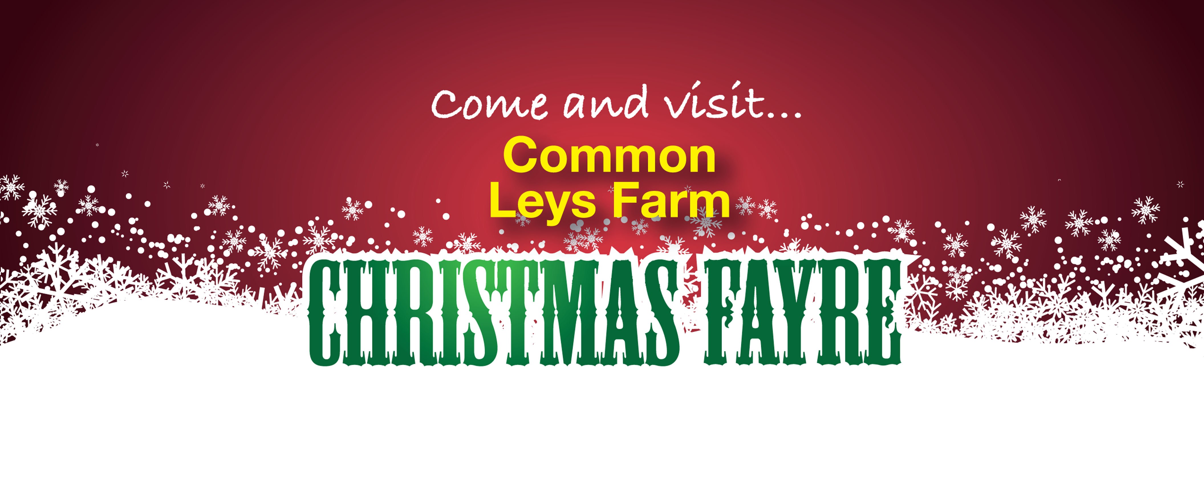 Common Leys Christmas Fayre﻿