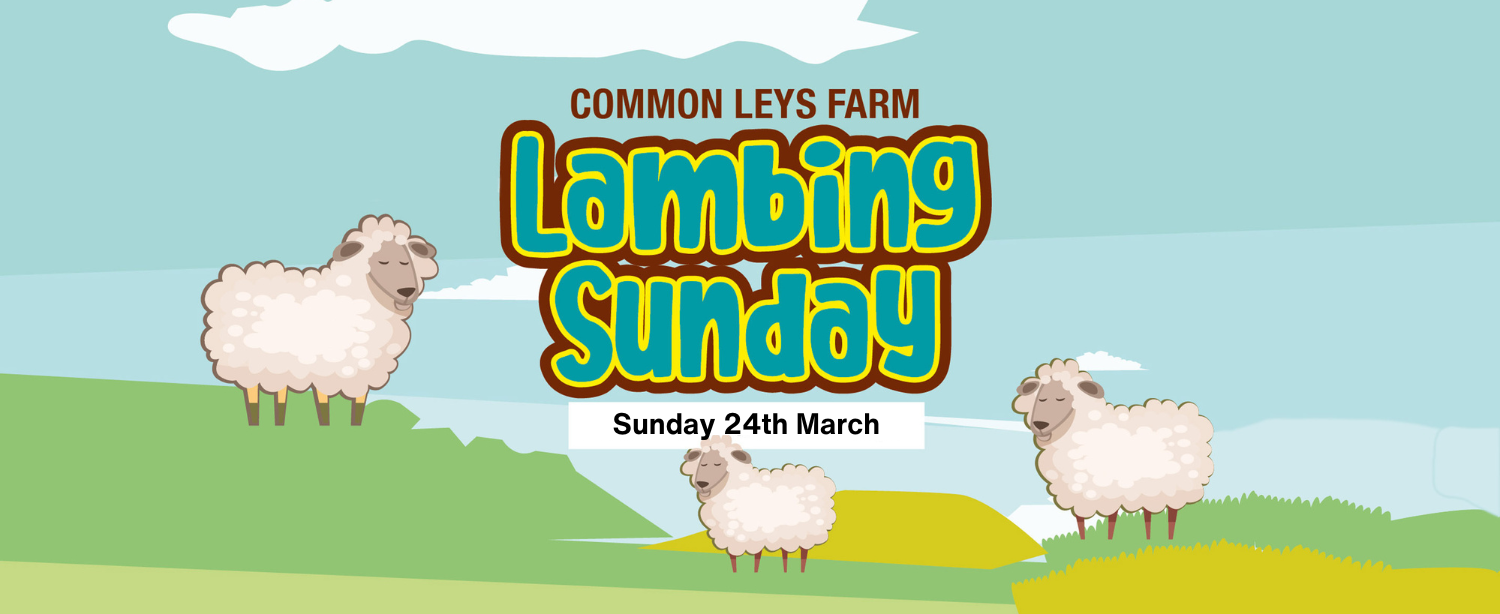 Lambing Event