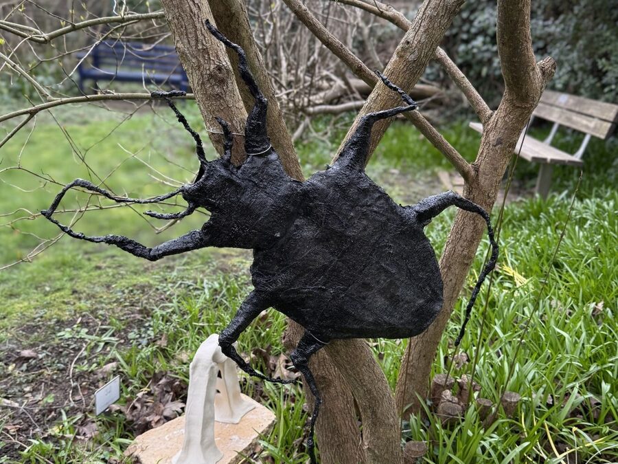 Architectures of Infestation: Students transform Turrill Sculpture Garden