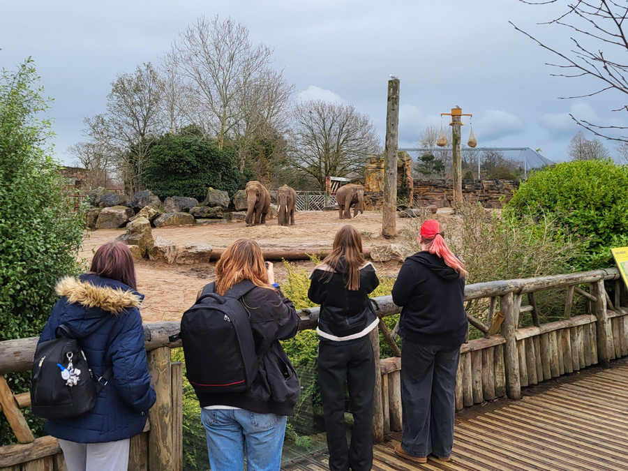 T Level Animal Management students visit Chester Zoo for residential research trip