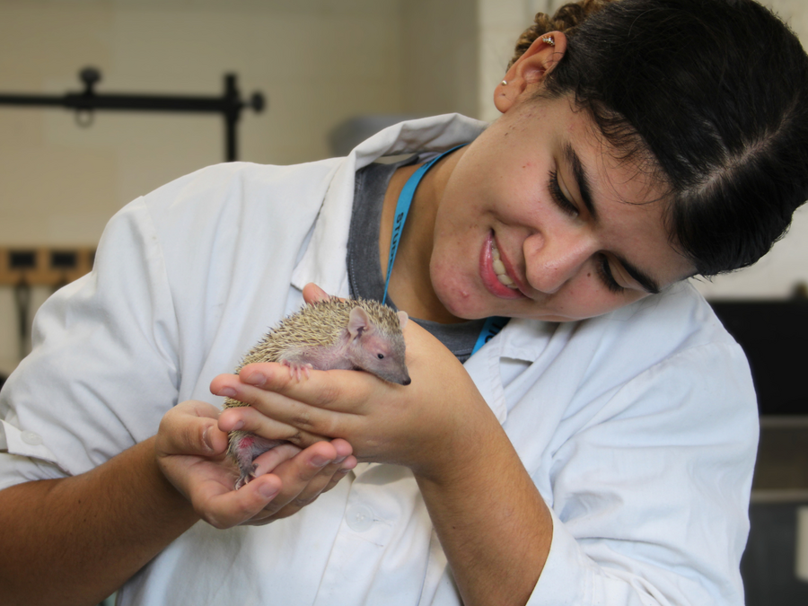 Getting hands-on with the Animal Care & Management T Level at Common Leys Farm